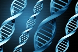 healthy aging DNA